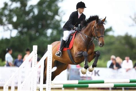 Olympic Equestrian Eventing Tickets: Selection of Valuators for 2012 ...