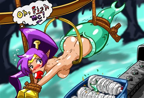 Post 2577347 Hook Maiden Jim Sugomi Shantae Shantae Series