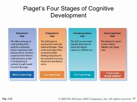 Piaget Stages Of Cognitive Development Chart