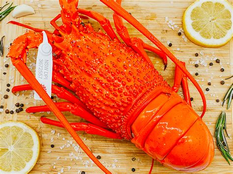 Australian Cooked Rock Lobster 700gr 750gr The One That Got Away