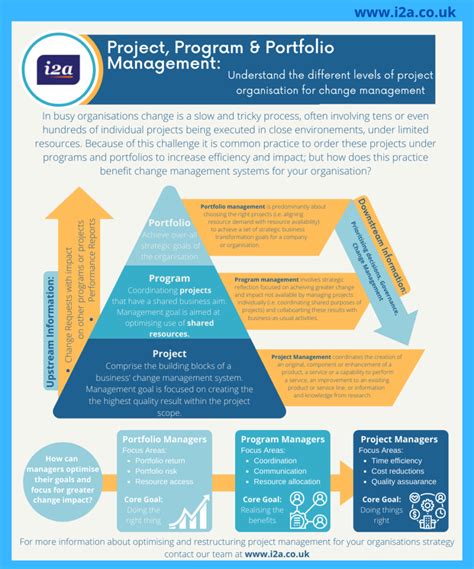 Project Programme And Portfolio Management Infographic Uk