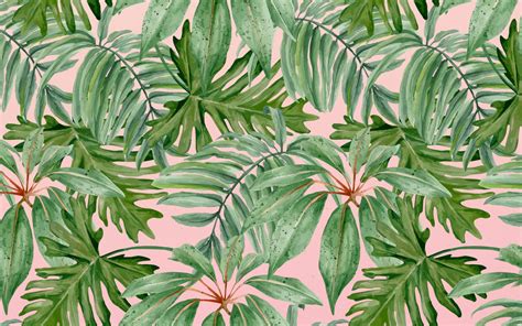 Aesthetic Leaves Wallpaper Pink Find The Large Collection Of 33000