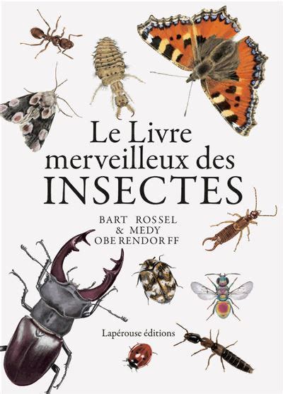 Le Livre Merveilleux Des Insectes