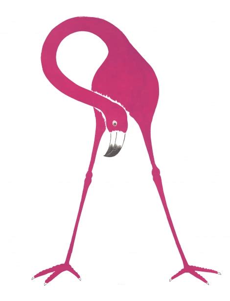 Flamingo Pink Clipart Free Stock Photo Public Domain Pictures