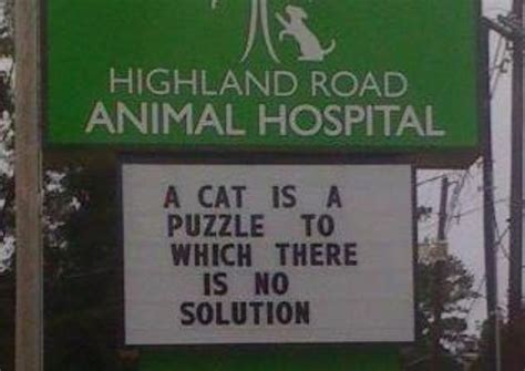 Funny Vet Clinics Signs About Cats Funny Cat Veterinary Clinic Signs