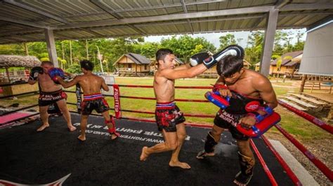 the business of muay thai camp for boxing in thailand