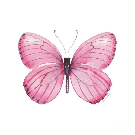 ファッショ CHANEL ピンクの通販 by bright s shopシャネルならラクマ バタフライ カード socialone