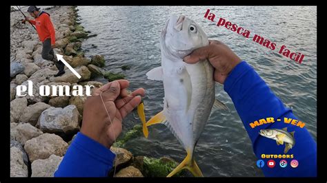 Pesca Jureles Con Goma La Pesca Mas Facil Youtube