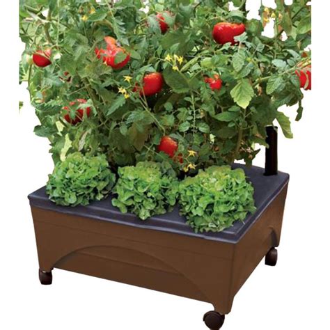 Look for a raised garden bed that is around 100 square feet to get started. Lowe's: Earth Resin Raised Garden Bed Only $19.98 (Reg. $30)