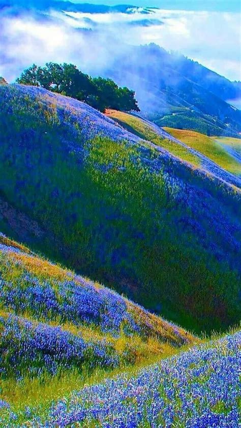 Blue And Green Hills Very Cool In 2020 With Images Nature