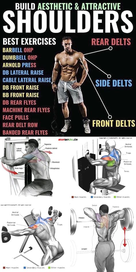 Rear Delts Exercises Shoulder Workout Routine Rear Delt Exercises