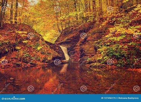 Autumn Mountain Waterfall Stock Image Image Of Leaves 127456175