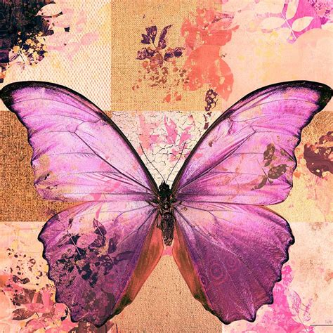 Butterfly Art Sr51a Digital Art By Variance Collections