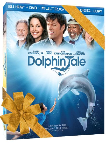 Dolphin Tale 2011 Blu Ray Review Flickdirect