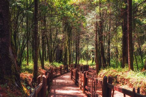 Las Mejores Fechas Para Visitar El Santuario De La Mariposa Monarca