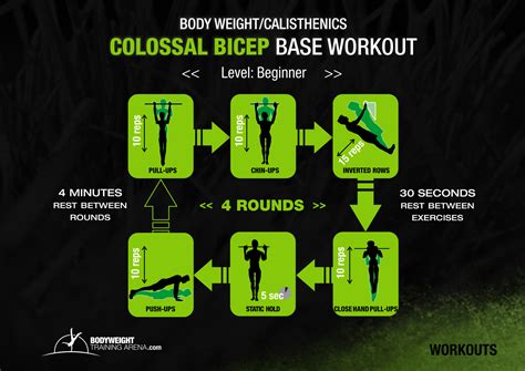 Calisthenic Workout Routine For Colossal Bicep
