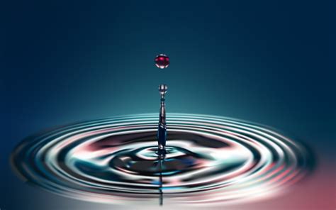 Water Drop Full Hd Wallpaper And Background Image 2880x1800 Id406872