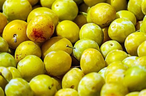 Free Photo Yellow Plums Fruit Stone Fruit Free Image On Pixabay
