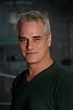 Paul Gross, Due South star, receiving Confederation Centre award | CBC News