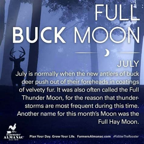 Pin by Wendy O'Connor on Moon | Full buck moon, Full moon names, Moon names
