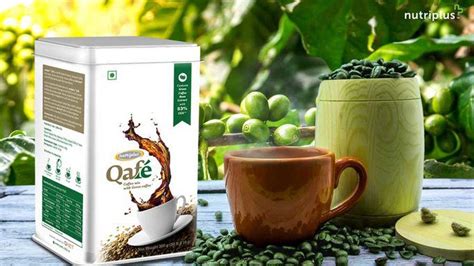 Health Benefits Of Nutriplus Qafé Qnet India Products
