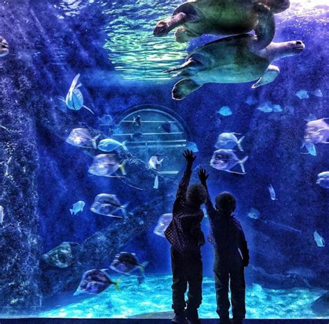 6 Indoor Activities In Virginia Beach That Are As Good As Being Outside