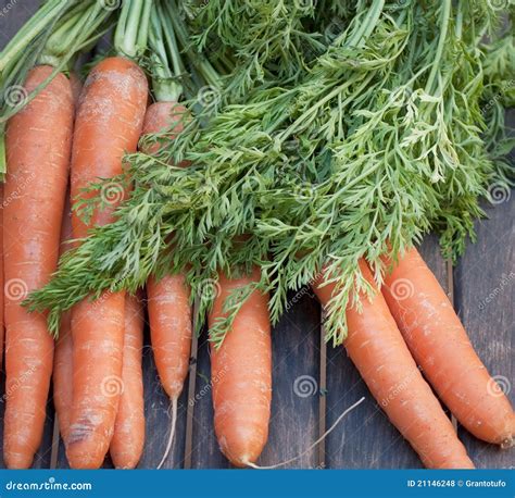 Several Carrots Stock Photo Image Of Organic Root Health 21146248