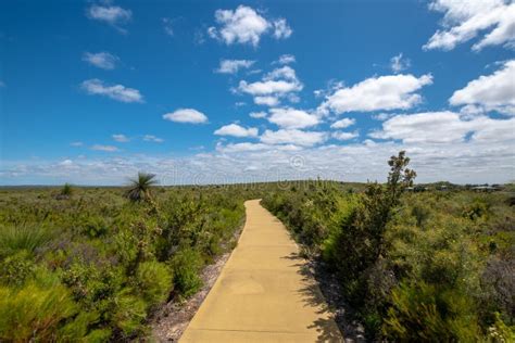 Hiking Path Through Beautiful Green Landscape In Western Australia At