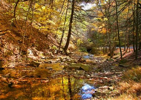 Rv and camping sites are also available. Lost River State Park - West Virginia