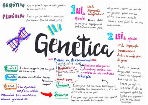 Genética resumos e mapas mentais Infinittus