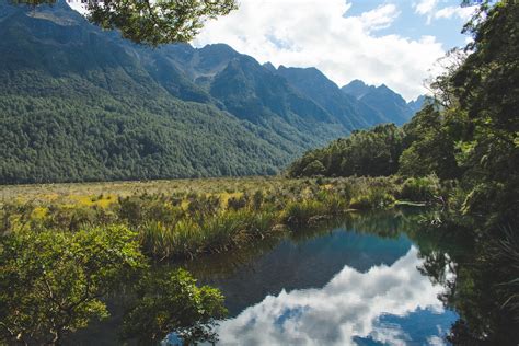 Fiordland National Park Mirror Lakes New Zealand Oc 5782x3855