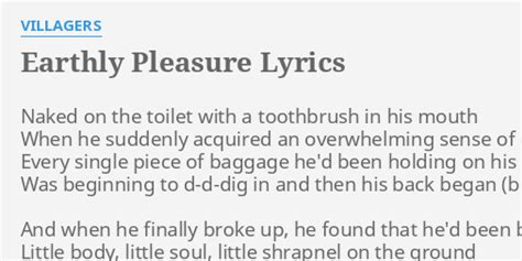 Earthly Pleasure Lyrics By Villagers Naked On The Toilet