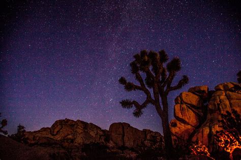 Joshua Tree National Park At Night Is There Anything Better Joshua
