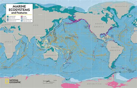 Extreme Marine Ecosystems National Geographic Society