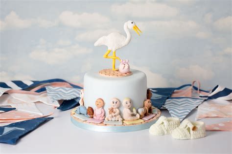 Stork Baby Shower Cake By Karen Davies Sugarcraft Tropical Birds Mould