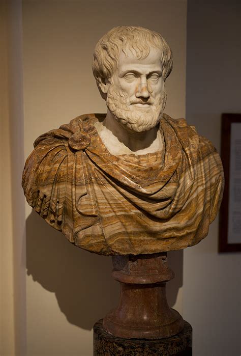 Aristotle Bust Palazzo Altemps Illustration World History Encyclopedia