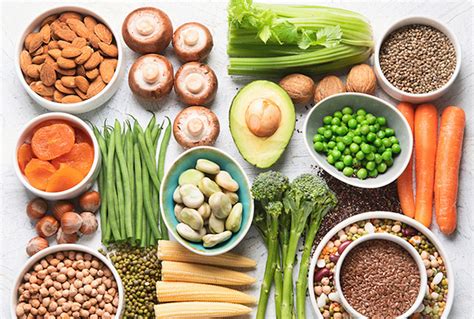 Plant Protein Sources Benefits And Uses Plixlife