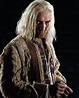 Rhys Ifans in Harry Potter HAND SIGNED Xenophilius Lovegood 10x8 Photo ...