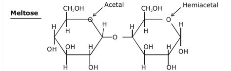 What Are The Functional Groups Included In Maltoses Structure