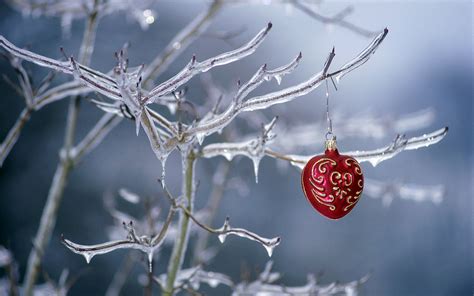 Free Download Ornament Hanging On A Frozen Tree Hd Wallpapers