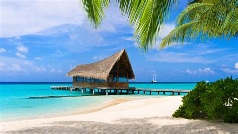 With perfect weather and endless sunshine, w maldives is an idyllic water sports playground. Cambio vita, mollo tutto e vado a vivere alle Maldive