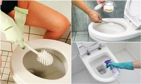 4 soluciones naturales para eliminar manchas en el baño 4 baño EL