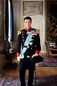 Crown Prince Frederik of Denmark | Danish royal family, Denmark royal ...