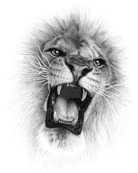 How To Draw A Lion Face Realistic Roaring Wilson Confor45