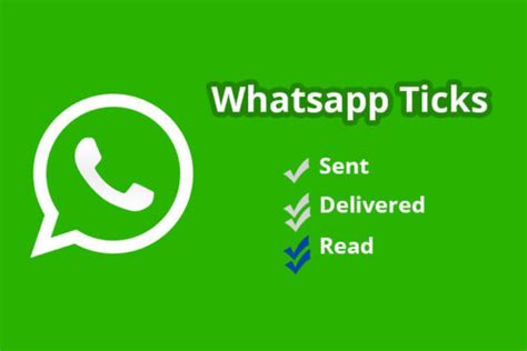 Whatsapp Ticks Check Marks Everything You Should Know