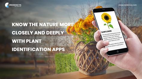 This plant identifier by picture app for android is a free app and helps you to identify plant species from photographs using visual recognition software. Know the Nature More Closely and Deeply with Plant ...