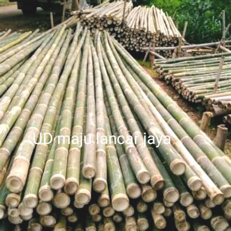 Jual Bambu Proyek Bambu Steger Bambu Cerucuk Ukuran 8 9 Jakarta