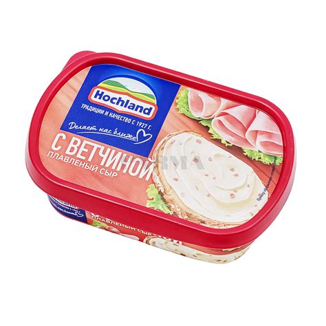 Processed Cheese Hochland Ham G