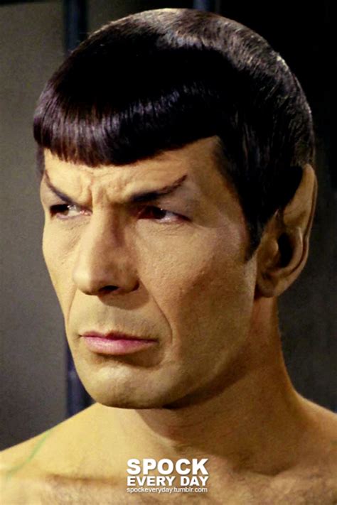 Spock Every Day Fandom Star Trek Star Trek Original Series Star