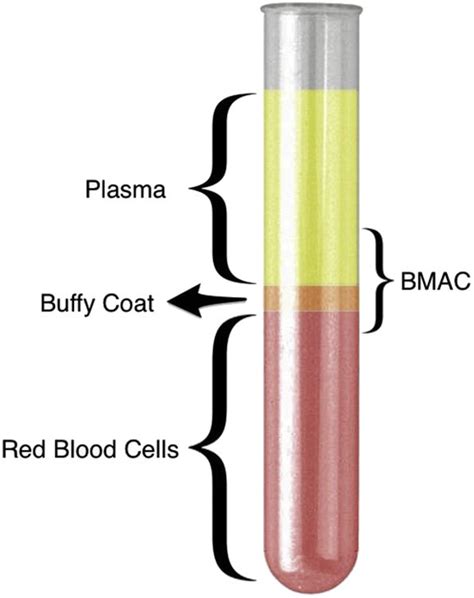 Cell Separation Layers Starting From The Top Plasma Mainly Containing